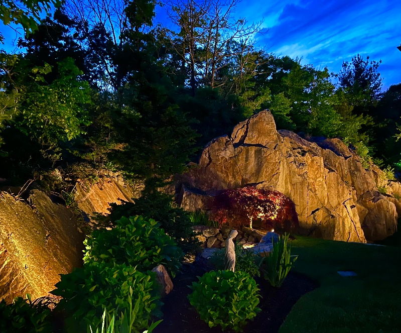 Landscape boulder and garden accent lighting as part of a custom backyard lighting installation by NightView Outdoor Lighting