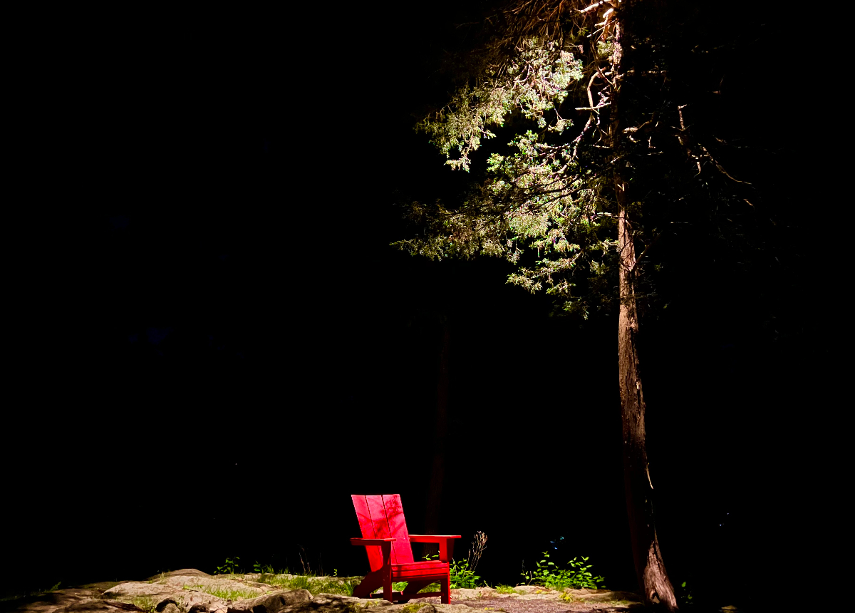 Energy-efficient LED backyard lighting installation by NightView Outdoor Lighting uplighting a mature tree beside an outdoor seating area
