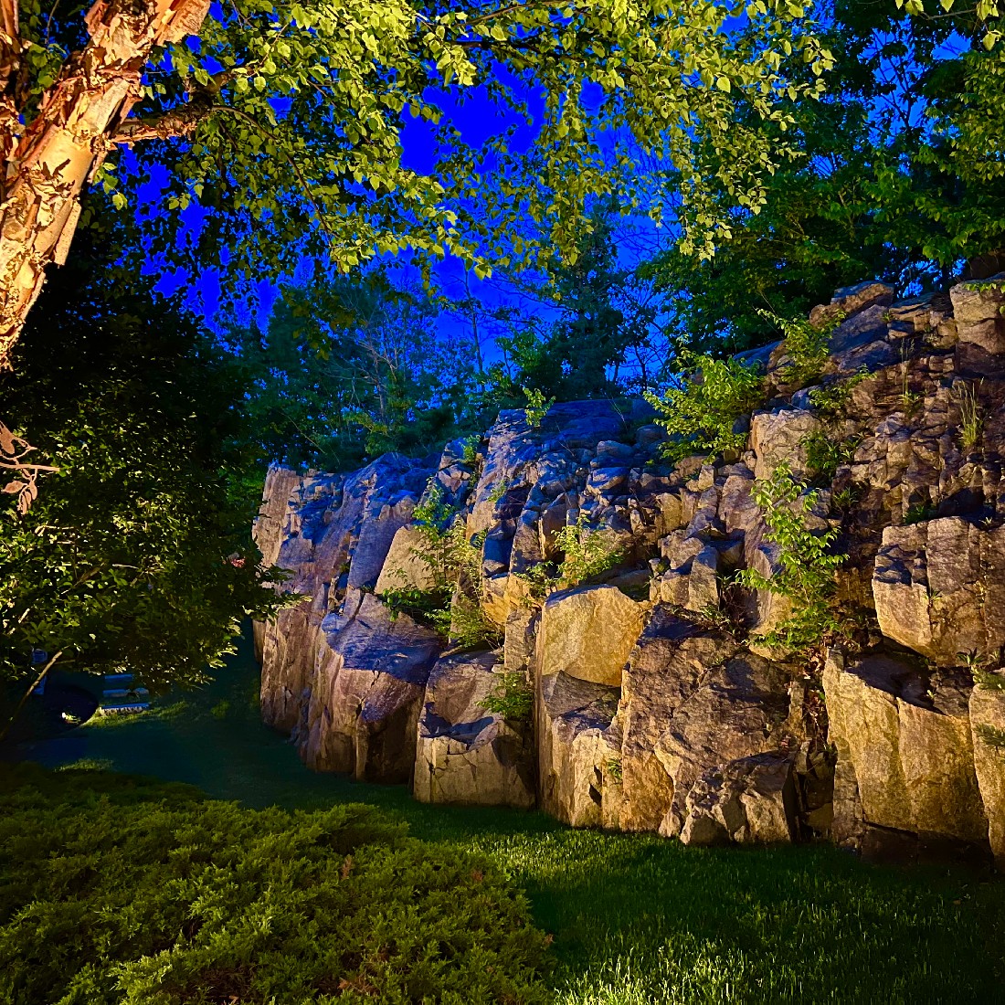 Colorful specialty backyard lighting installation by NightView Outdoor Lighting creating a vivid nighttime atmosphere in a Massachusetts landscape