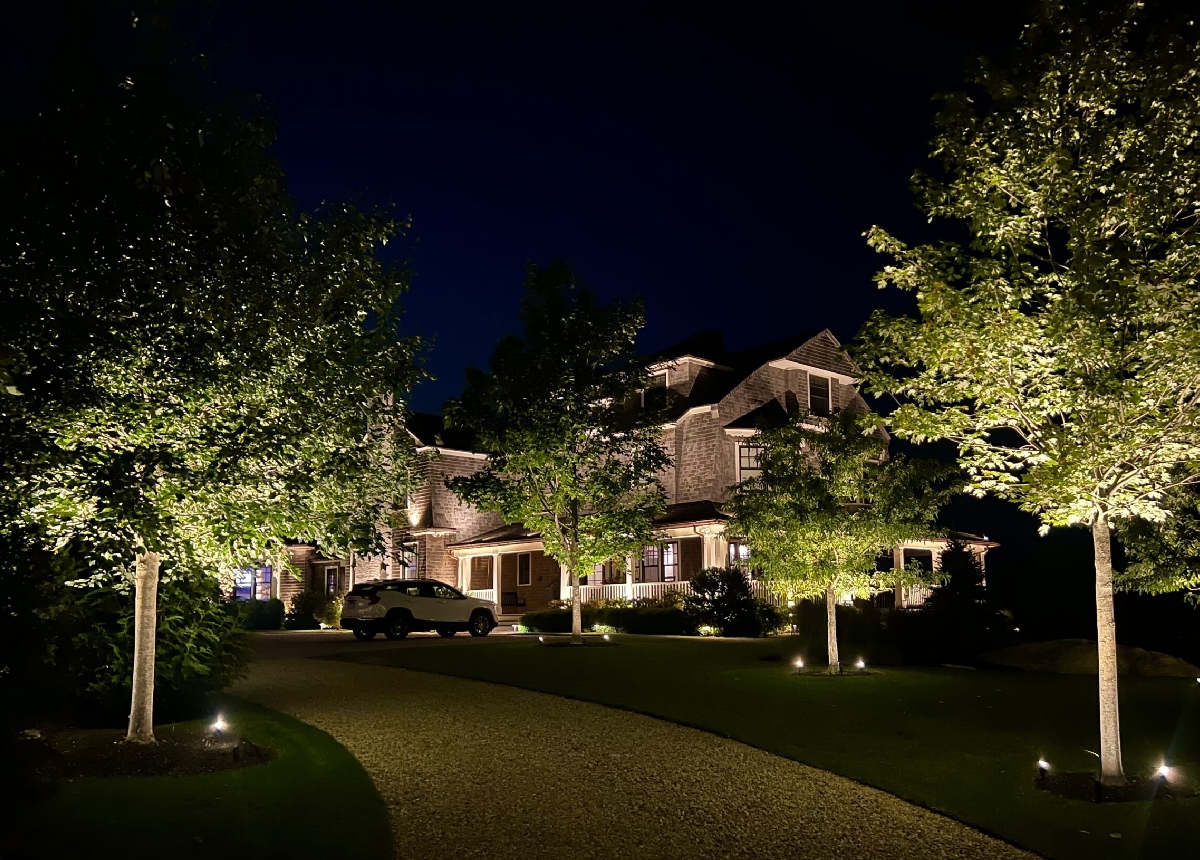 Professional tree and landscape lighting design illuminating a home's driveway and trees at night