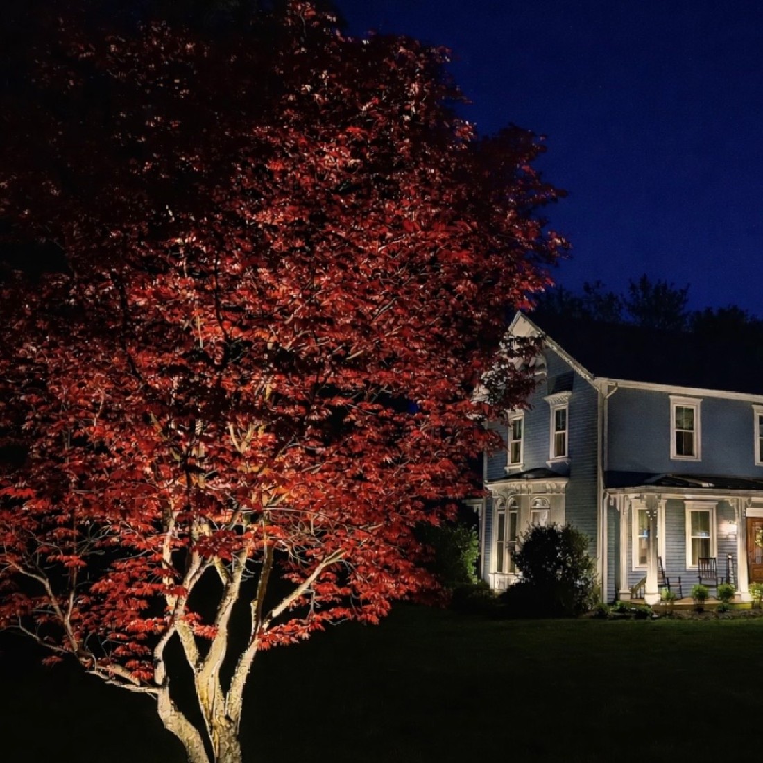 Outdoor uplighting accentuating a tree's foliage color beside a home's exterior
