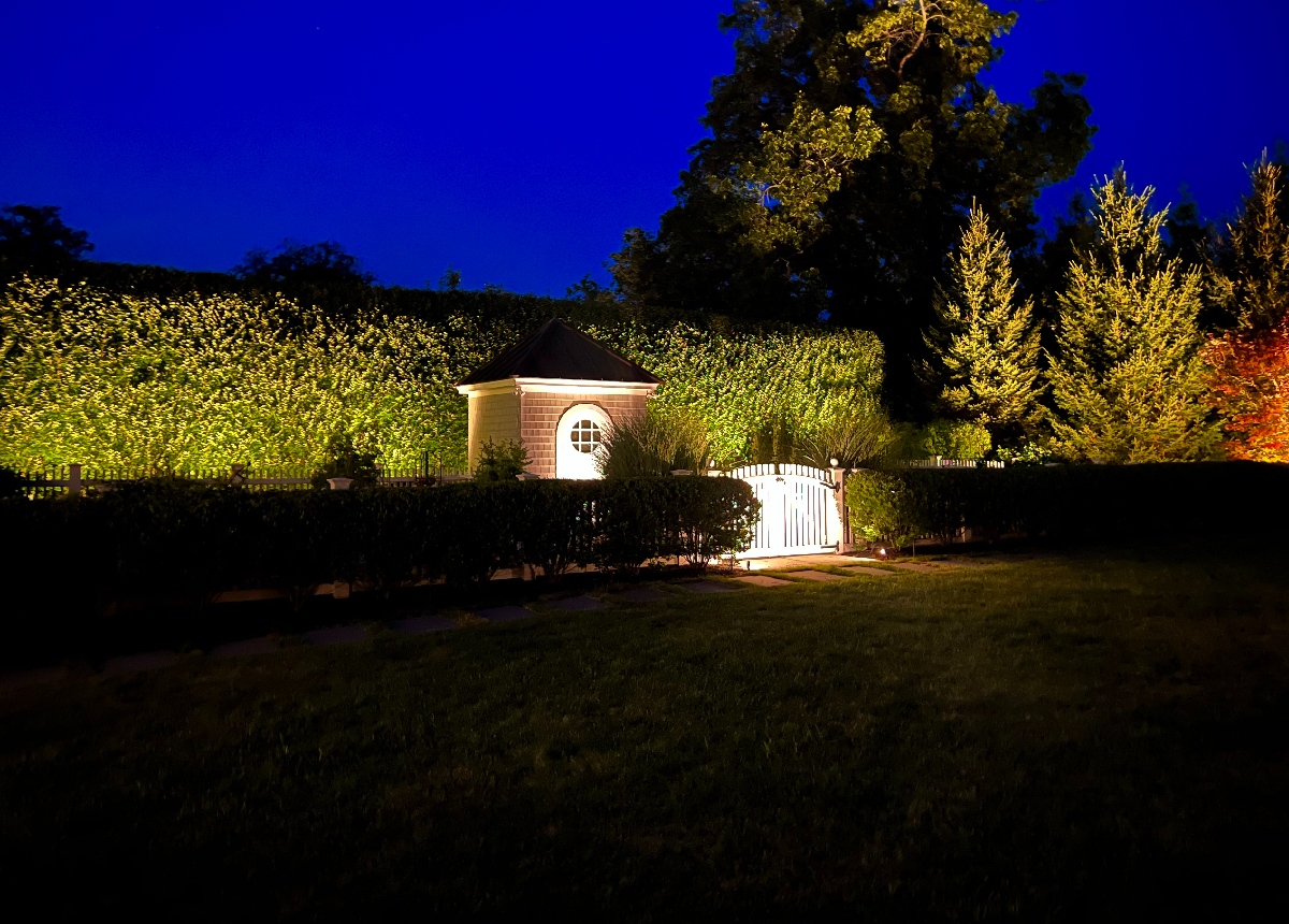 Custom outdoor lighting illuminating a backyard fountain and surrounding trees at dusk