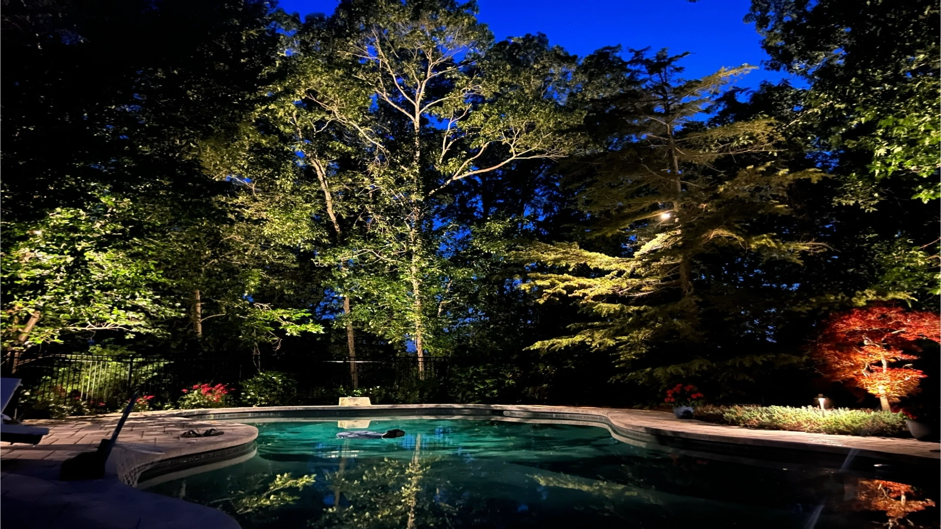 Warm outdoor lighting color temperature on trees and gardens at night