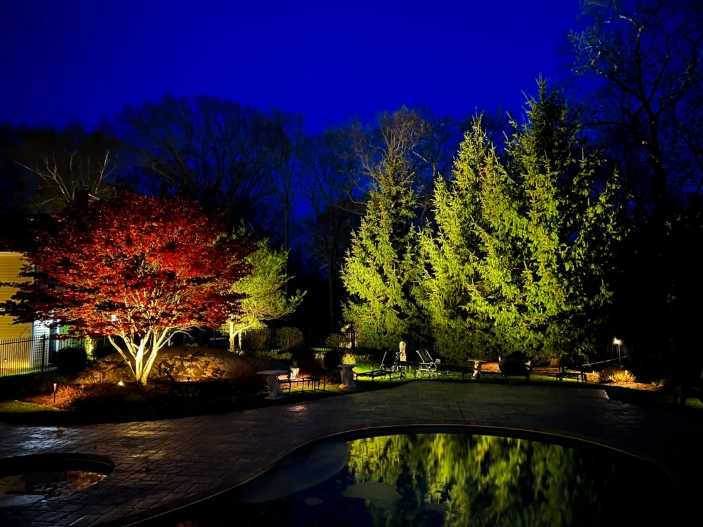 Uplighting technique illuminating a Japanese maple and evergreen trees at dusk